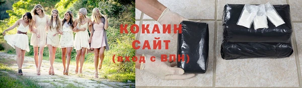 кокс Вяземский